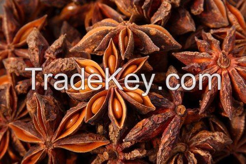 High Quality STAR ANISE SEEDS