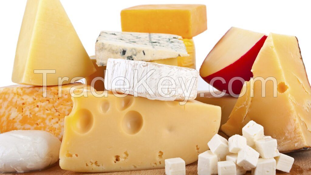 High Quality CHEESE