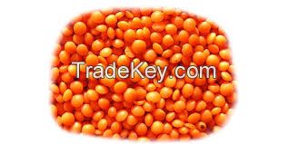 High Quality  RED FOOTBALL LENTILS