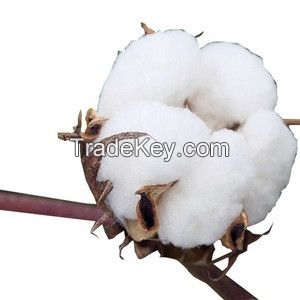 High Quality 100% ORGANIC RAW COTTON 100% COTTON YARN