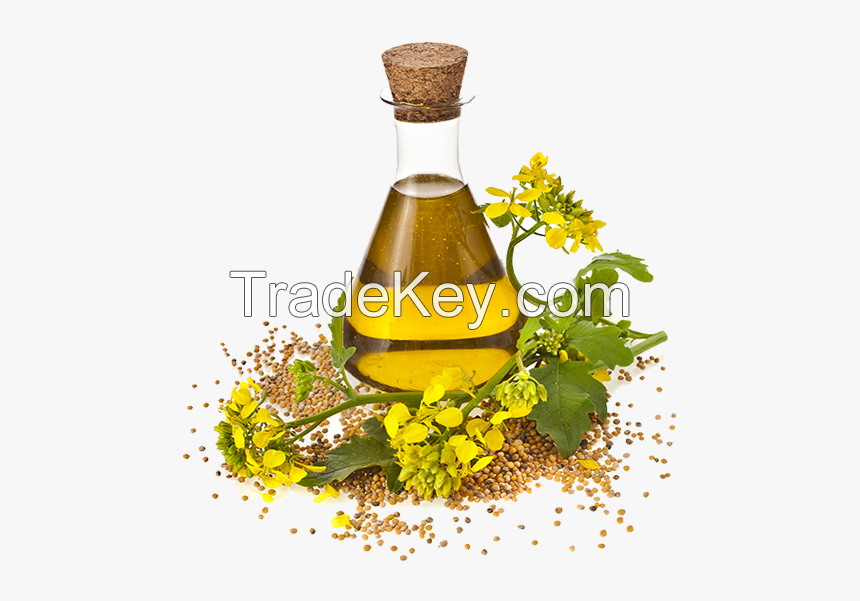 High Quality CANOLA OIL