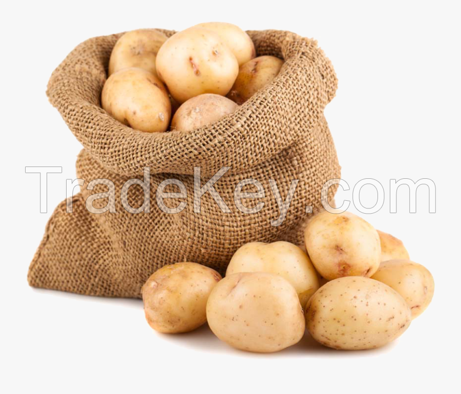 High Quality POTATO