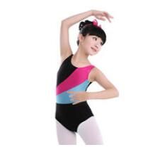 2018 New Swan Lake Ballet Dance Costumes Kids Tutu Ballet Practice Bodysuits