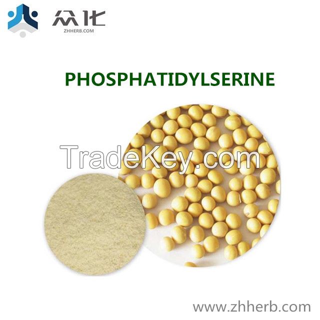 Natural Plant Phosphatidylserineï¼�PSï¼�Powder cas 84776-79-4