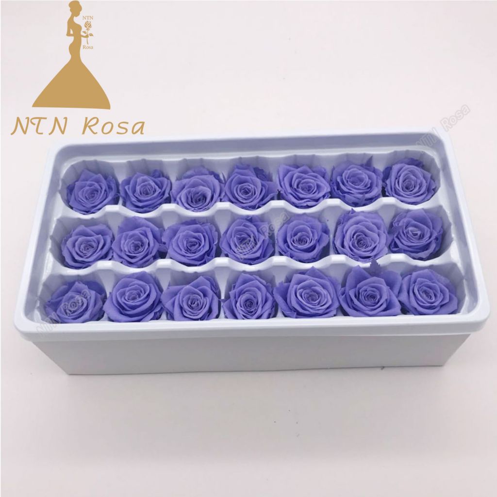 China Premium Flowers Heads for Making Flower Box