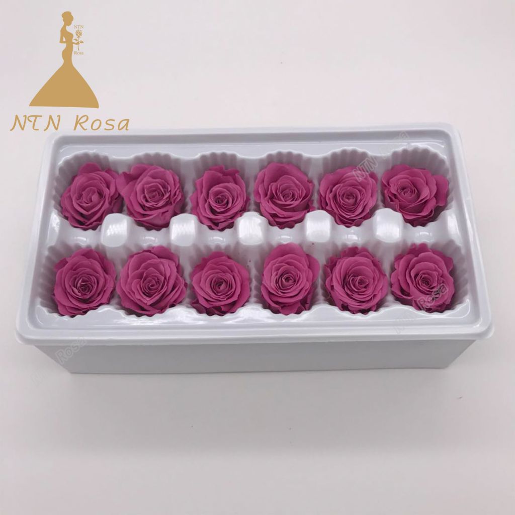 Leading Preserved Flowers Supplier And Manufacturer Ntn Rosa