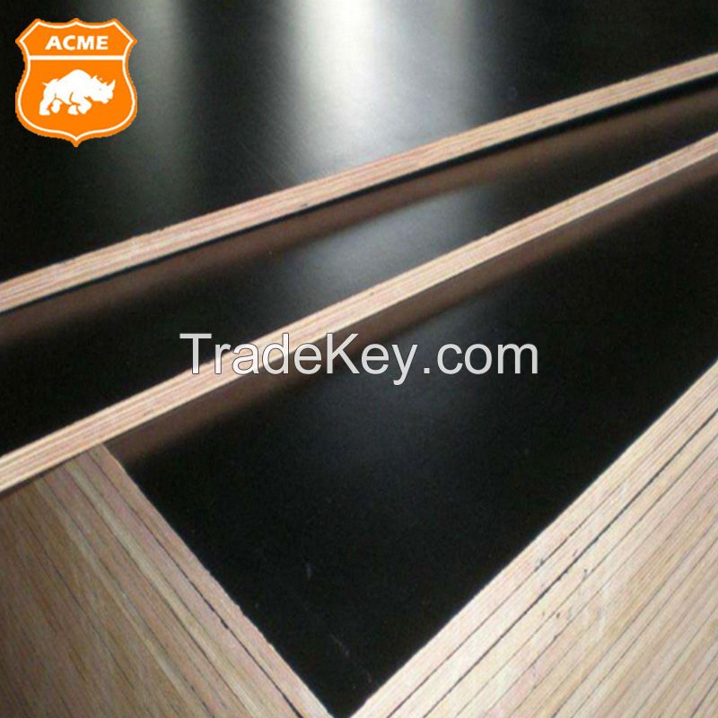 Water-proof Shuttering Plywood