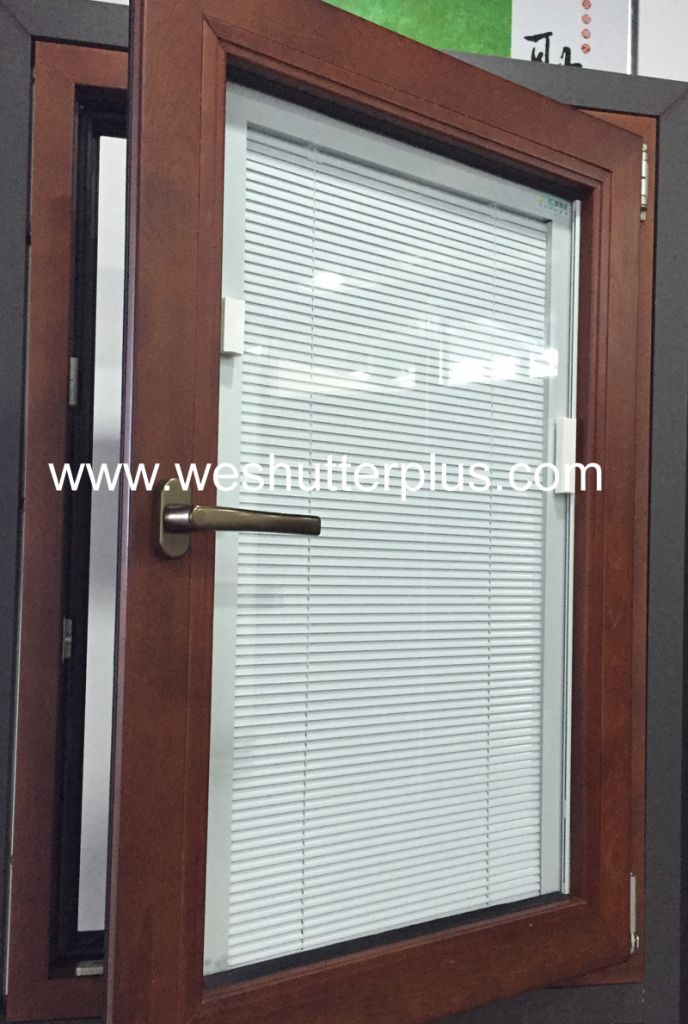 Sunshade Window, Insulating Glass Blinds/Shutter, Window Blinds