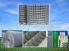 Welded Wire Mesh