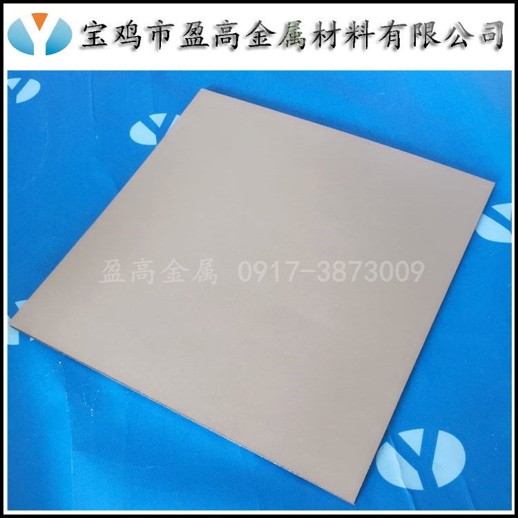 porous titanium plate