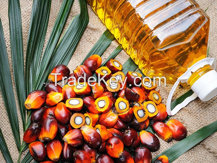 RBD Palm Olein CP10, CP8, CP6, Cooking Oil
