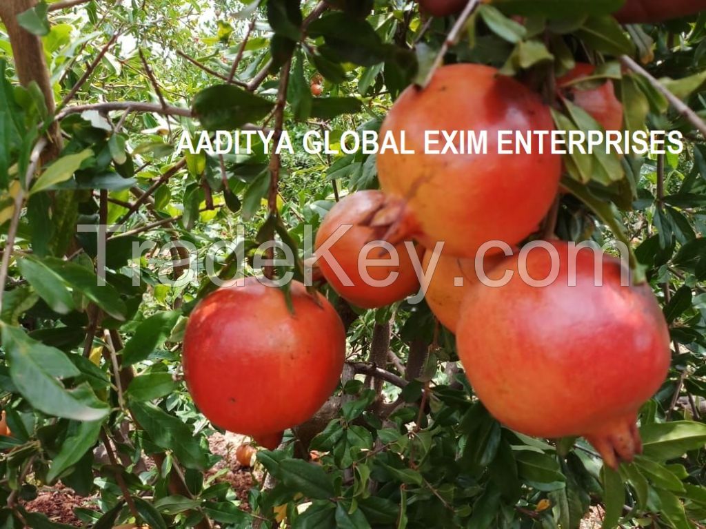 Fresh Fruit Pomegranate
