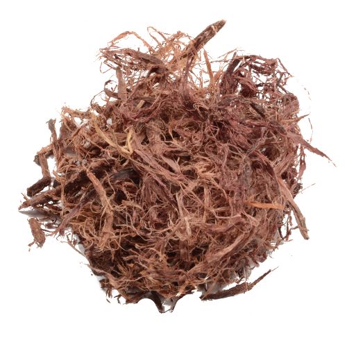 1kg Brazilian Mimosa hostilis (Jurema) COARSE Shredded Inner Root Bark