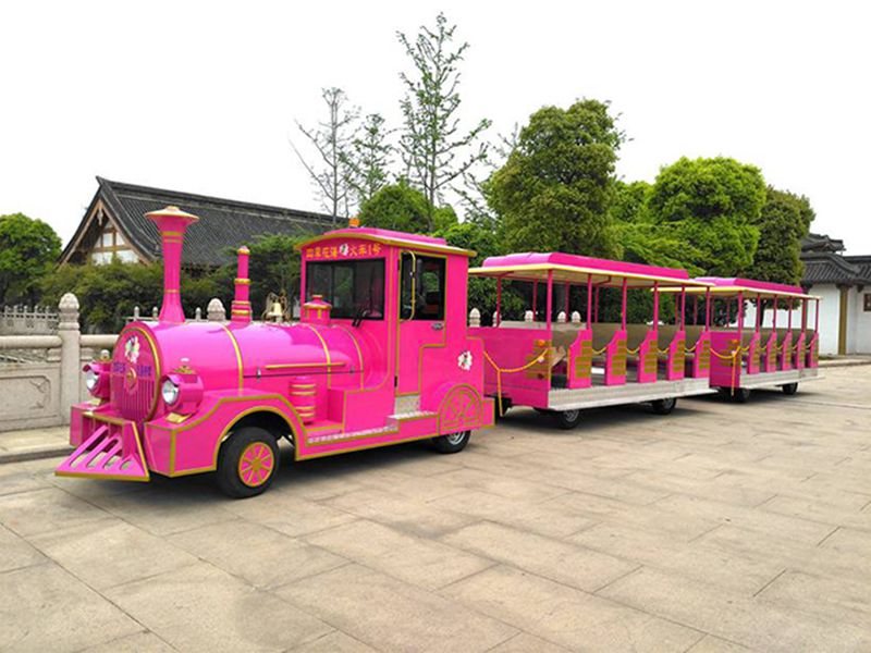 50 Seater Sightseeing Train Electric Mini Amusement Train Model Dsw-E50