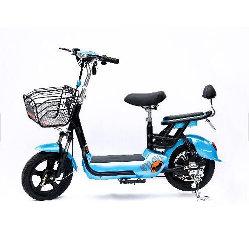 2018 High quality 48V 1000W lead-acid battery electric e bicycle bike