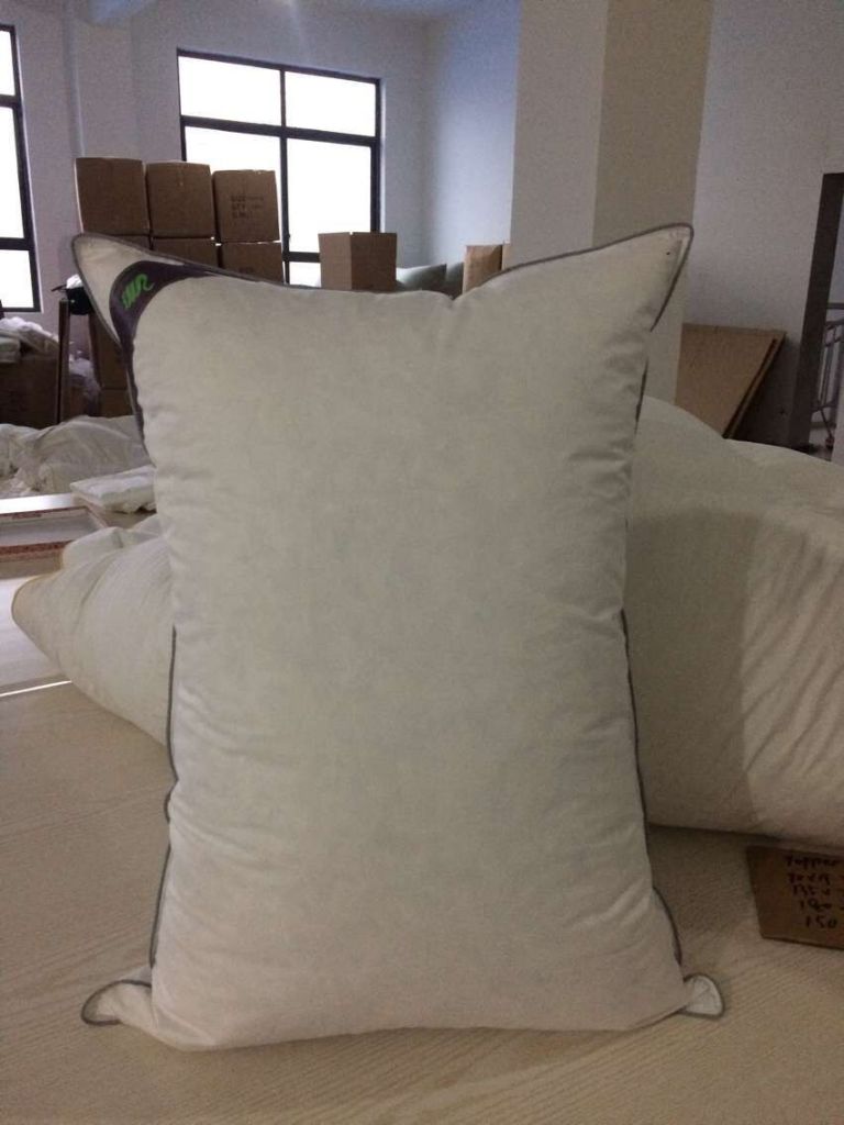 Duck Feather Cushion Inner