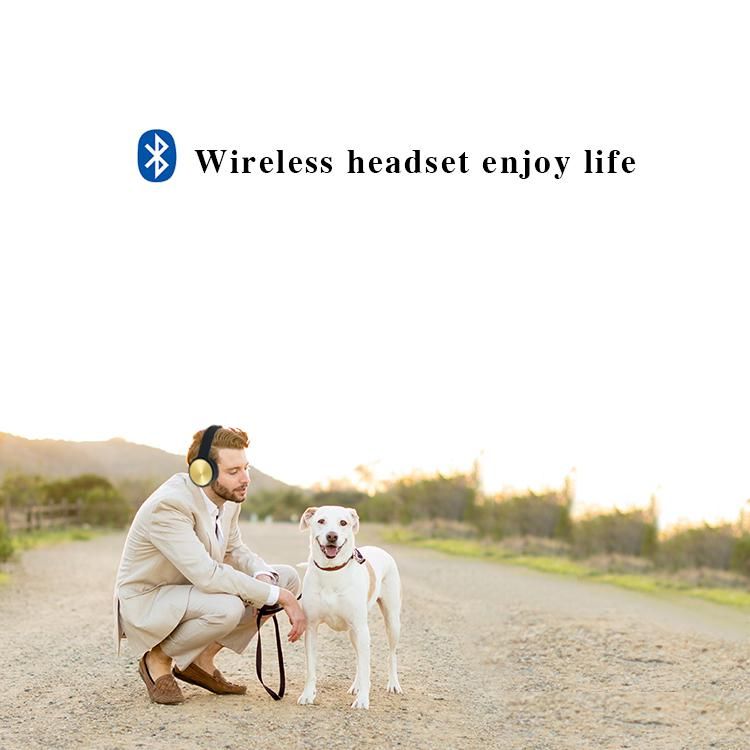 High quality BT 5.0 On Ear Metal Wireless Headphones Earphone