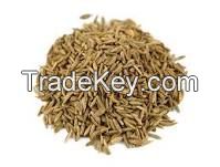 Caraway