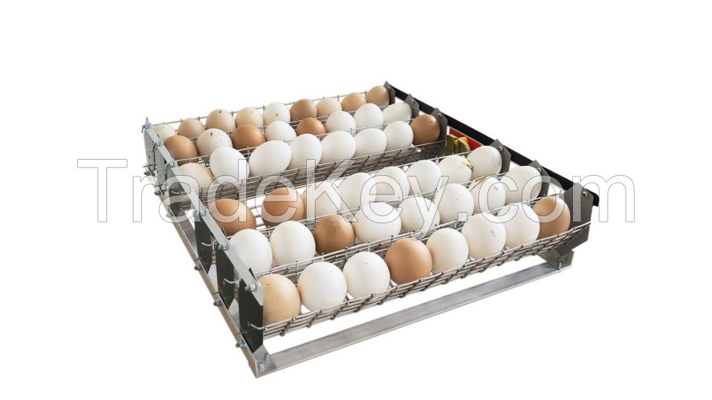 Automatic Egg incubator Broody Micro Battery 50 with humidifier backup power function automatic turn of trays poultry chicken egg Hatching