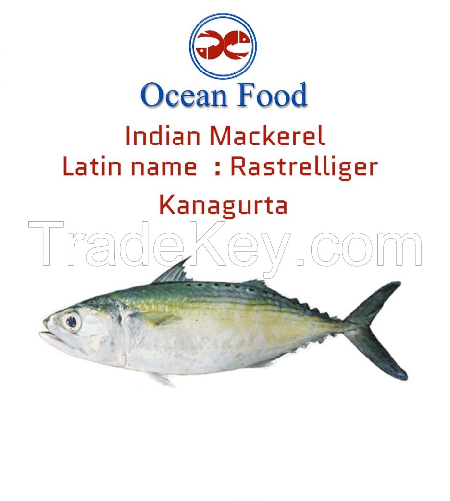 Japanese threadfin Bream (JTB), Grey Mullet & Indian Mackerel