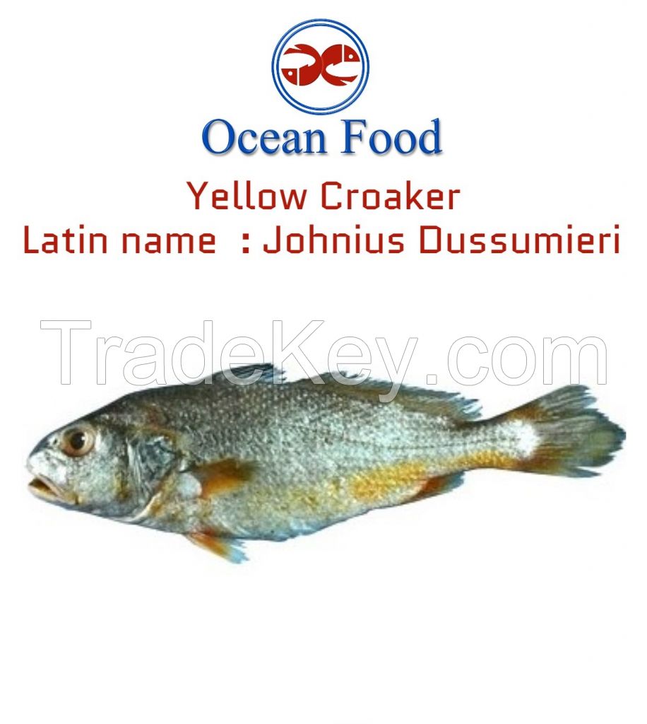 Croaker