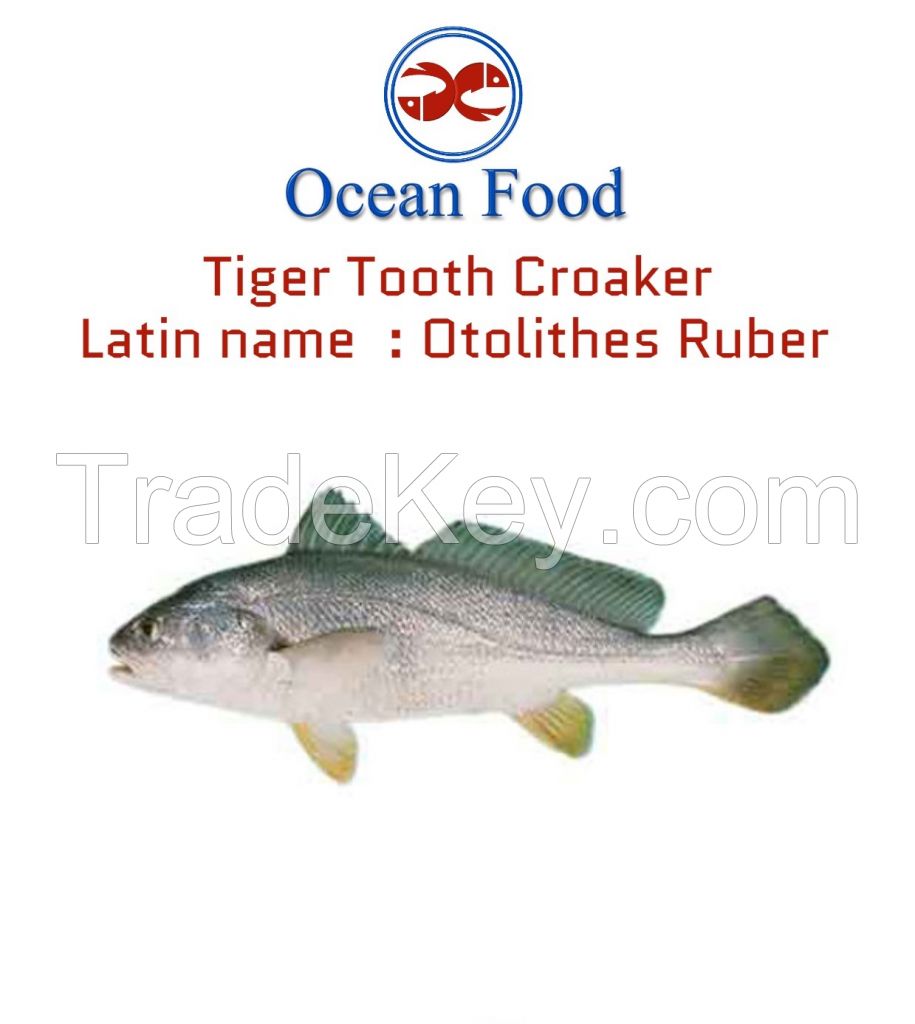 Croaker