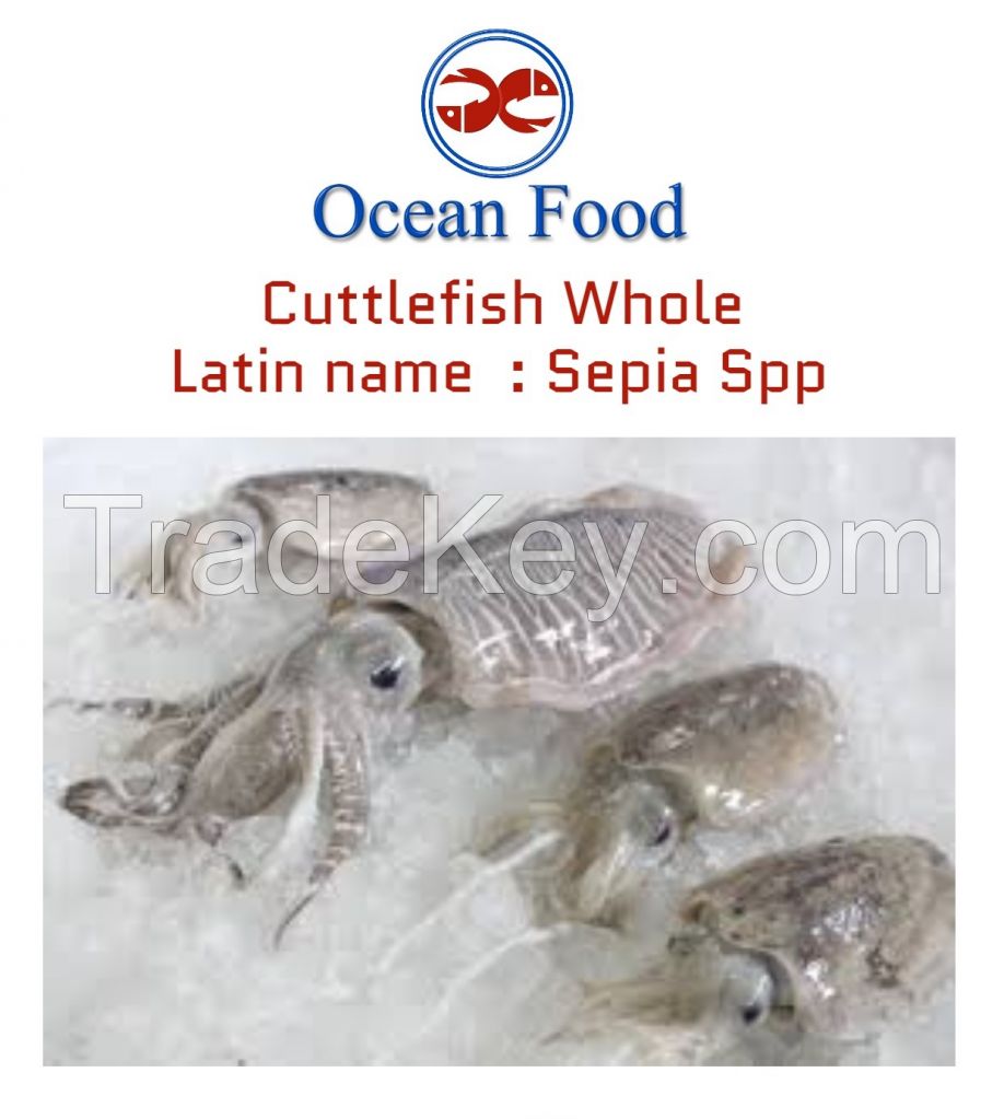 Cuttlefish 