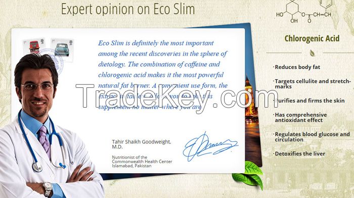 Eco Slim in Pakistan: The best Weight Loss Formula