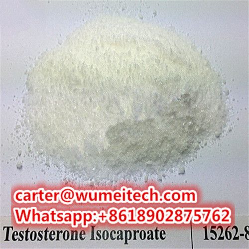 Testosterone isocaproate