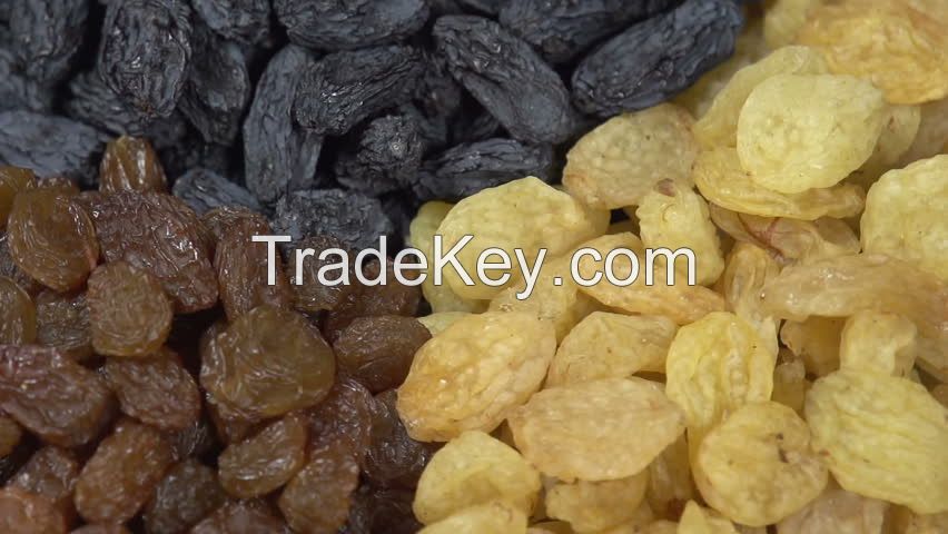 RAISINS(DRIED GRAPES)