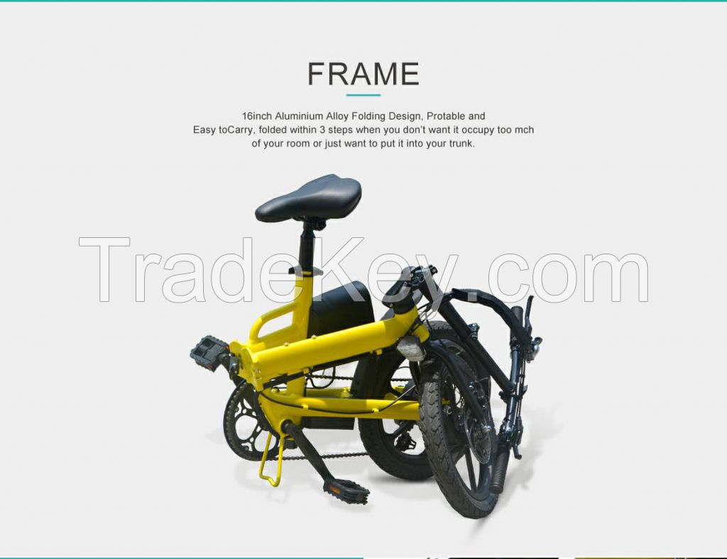 Mini Pocket Folding Electric Bike 