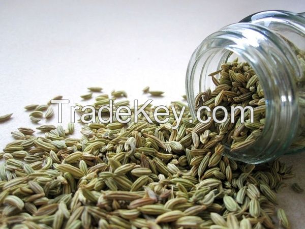 FENNEL SEEDS
