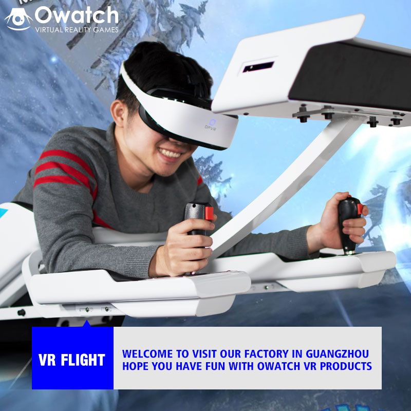 VR Flight