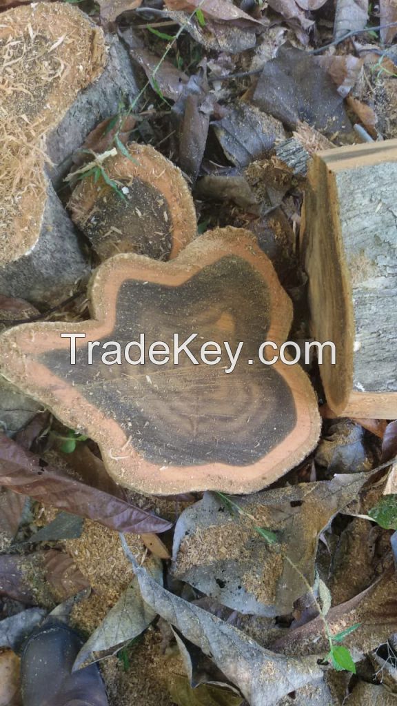 Teak wood logs and timber