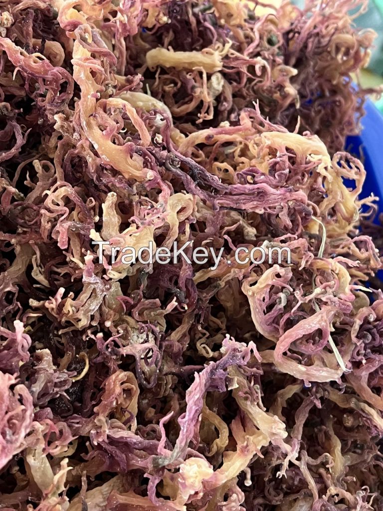 DRIED SEA MOSS/ 100% NATURAL SEA MOSS FROM VIETNAM WITH COMPETITIVE PRICE