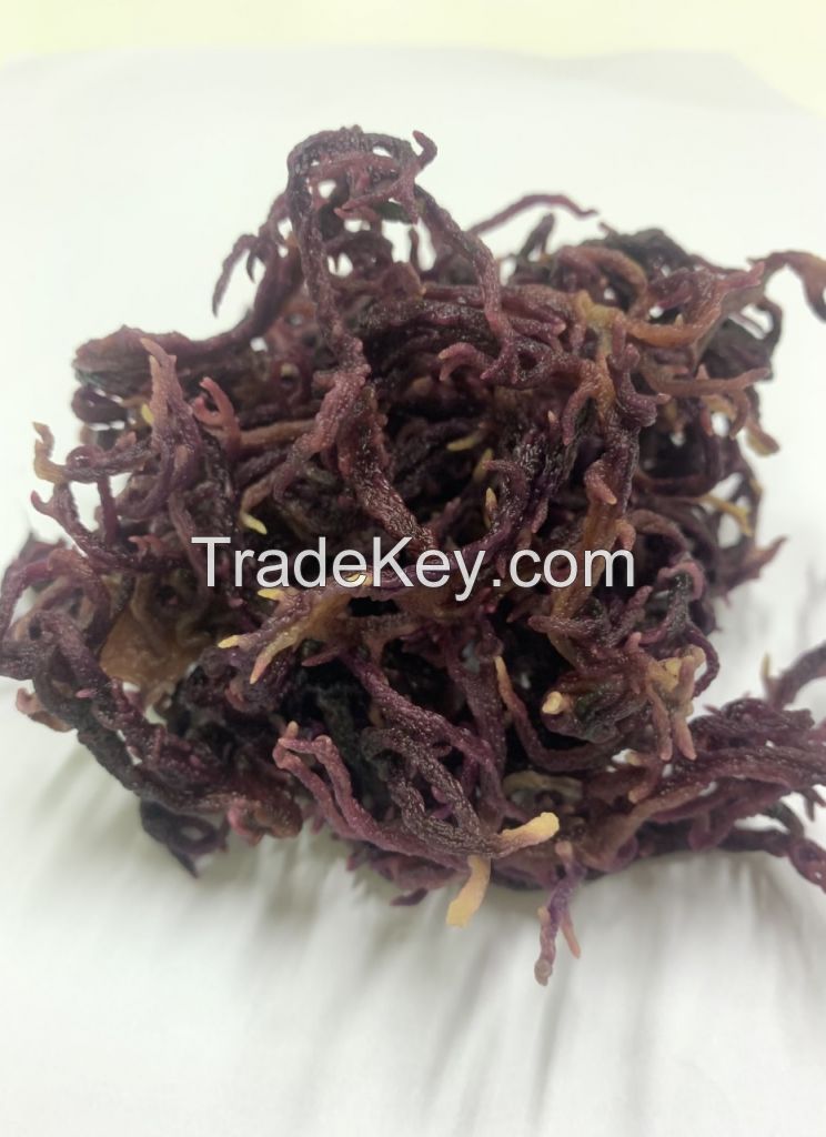 DRIED SEA MOSS/ 100% NATURAL SEA MOSS FROM VIETNAM WITH COMPETITIVE PRICE
