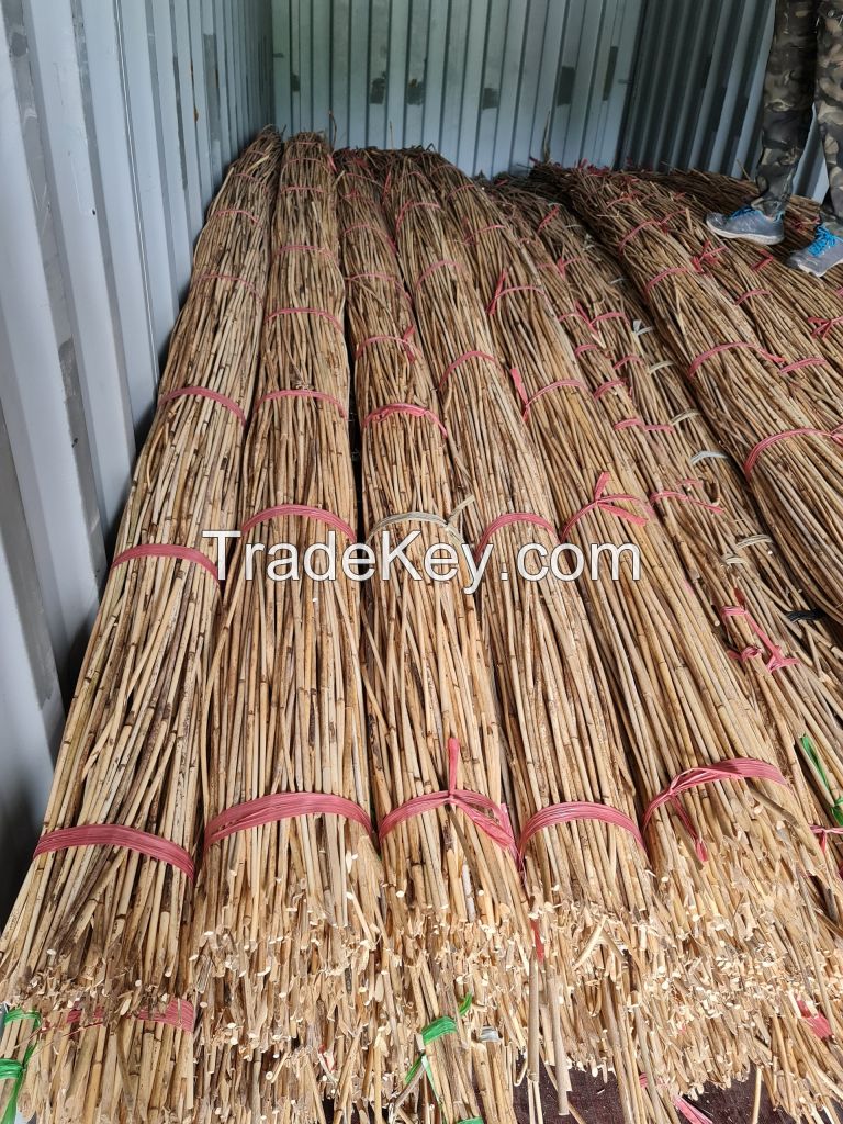 100% Super Cheap Natural Raw Rattan From Vietnam