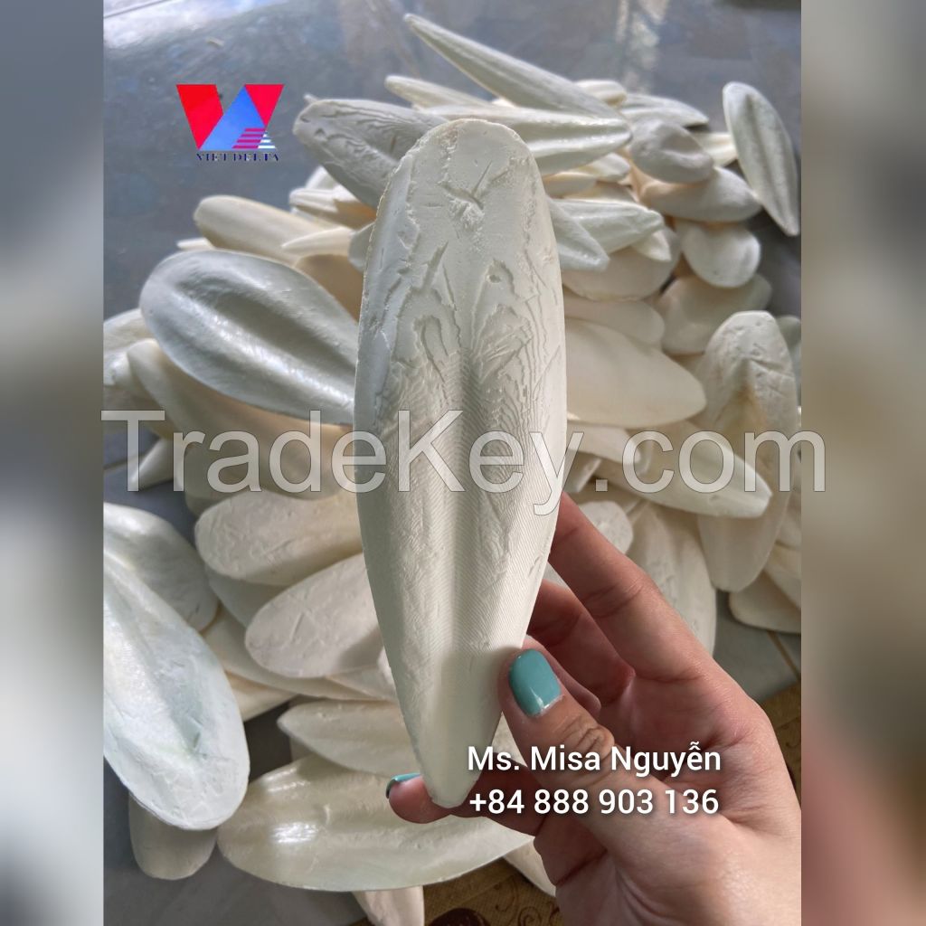 Best Price! Nutritional Food for Vietnamese Birds White Squid Bones Natural Dried Squid Bones