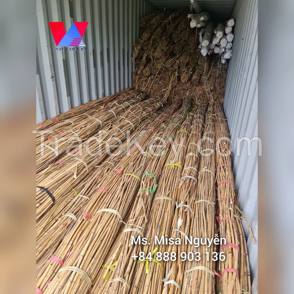 Raw rattan trees are super cheap from Vietnam