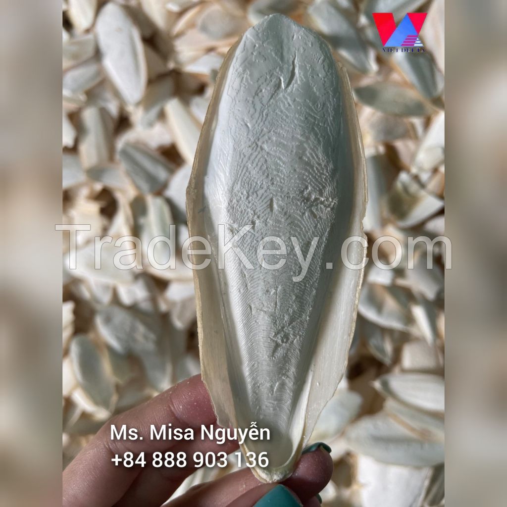 100% natural cuttlefish bones from Vietnam