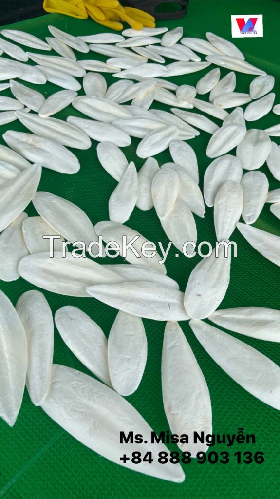 Top Quality Cuttlefish Bone From Vietnam