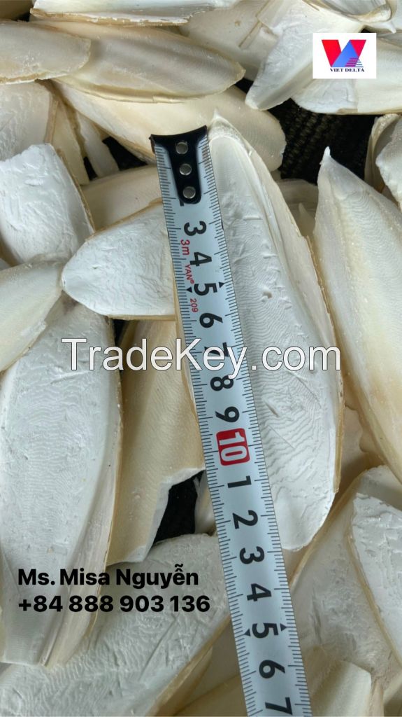 Good price, The biggest supplier Dried Cuttle fish bone from Vietnam