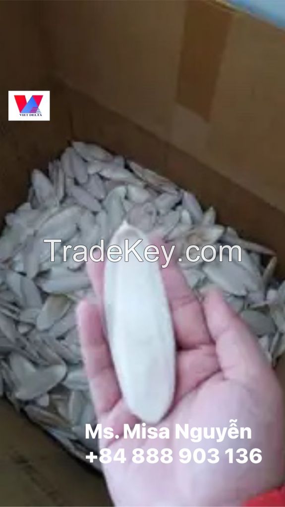 Competitive Price And High Quality Cuttlefish Bone From Vietnam