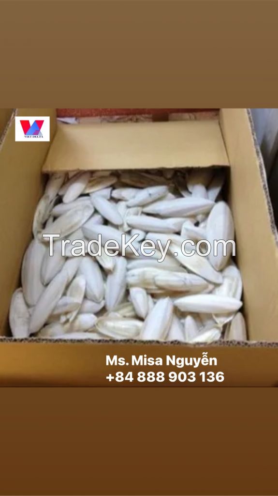 Good price, The biggest supplier Dried Cuttle fish bone from Vietnam