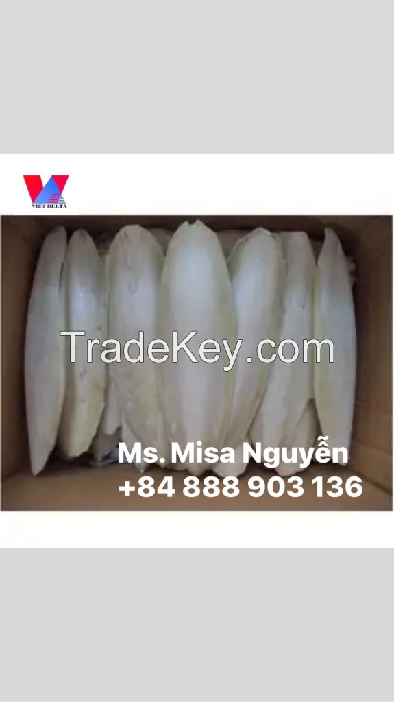 Competitive Price And High Quality Cuttlefish Bone From Vietnam