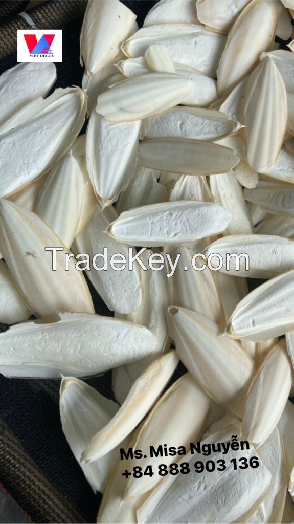 High Quality Dry Cuttlefish Bone Cuttlebone 100% Natural from Vietnam