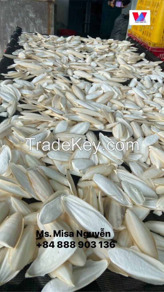 Best Selling, Clean dried cuttlefish bones exported globally at cheap prices