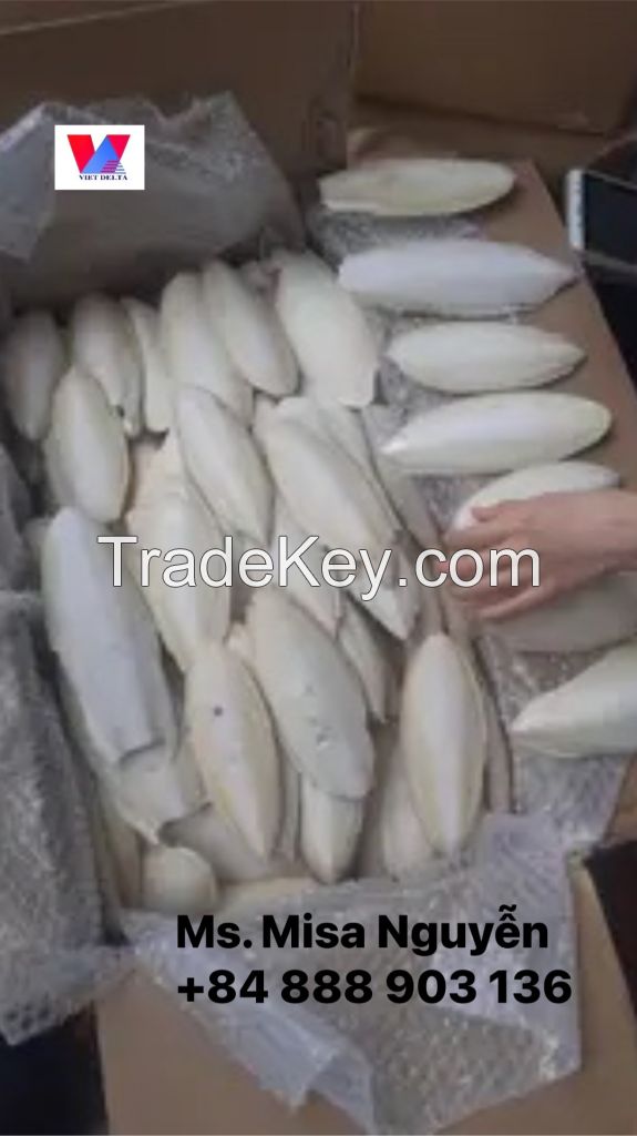 Best Supplier Dried CuttleFish Bone At The Best Price From Viet Nam