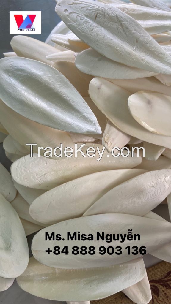 The best price for Cuttlefish bone with high quality 2023