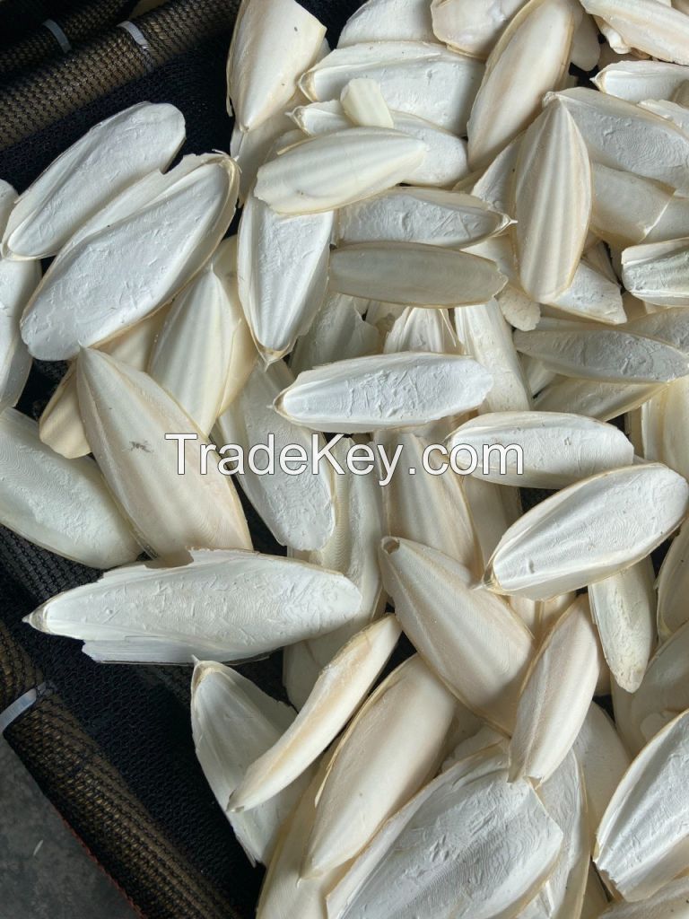 BEST PRICE FOR ANIMAL FEED MADE FROM CUTTLEFISH BONE IN VIETNAM